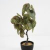 Artificial Plant small copper leaf in pe pot GS-59521084 Artificial Plant 23*12*39cm small copper leaf in pe pot GS-59521084 Potted Flowers&Plants YeahFlower is one of Chinese leading OEM manufacturers and exporters , supplying the silk flowers, wholesale artificial trees