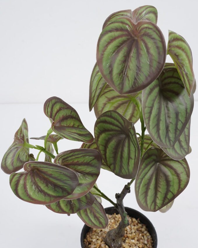 Artificial Plant small copper leaf in pe pot GS-59521084_1 Artificial Plant 23*12*39cm small copper leaf in pe pot GS-59521084 Potted Flowers&Plants YeahFlower is one of Chinese leading OEM manufacturers and exporters , supplying the silk flowers, wholesale artificial trees