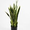 Artificial Plant 42*33*80cm snake plant*7 in pp pot GS-59521079 Potted Flowers&Plants YeahFlower is one of Chinese leading OEM manufacturers and exporters , supplying the silk flowers, wholesale artificial trees