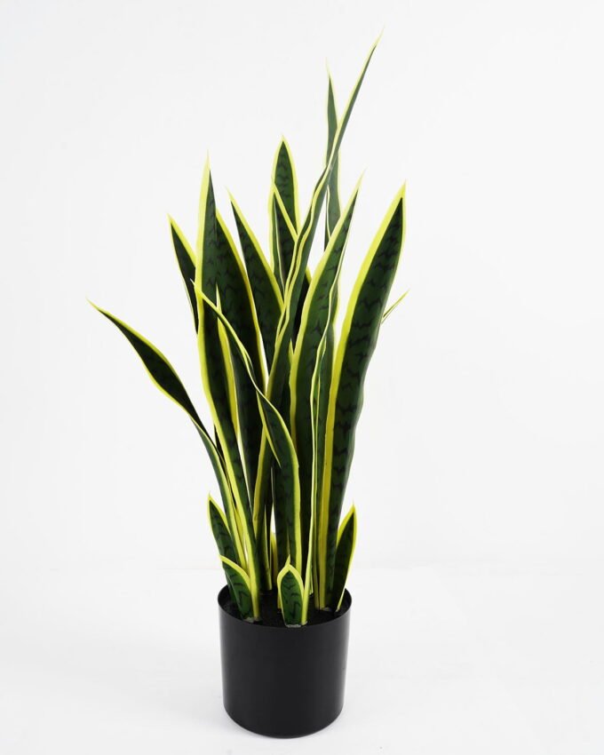 Artificial Plant 42*33*80cm snake plant*7 in pp pot GS-59521079 Potted Flowers&Plants YeahFlower is one of Chinese leading OEM manufacturers and exporters , supplying the silk flowers, wholesale artificial trees