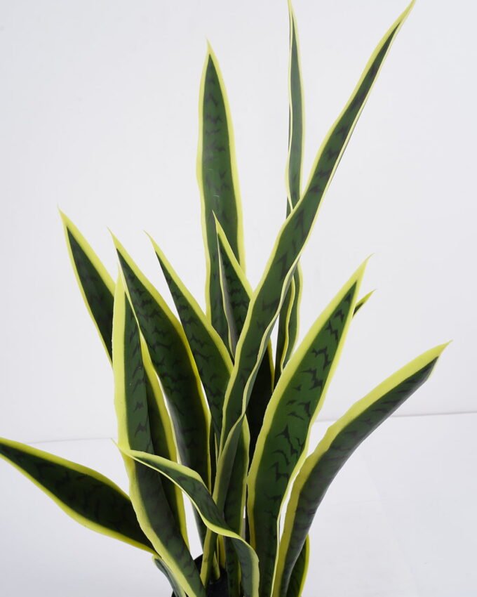 Artificial Plant 42*33*80cm snake plant*7 in pp pot GS-59521079 Potted Flowers&Plants YeahFlower is one of Chinese leading OEM manufacturers and exporters , supplying the silk flowers, wholesale artificial trees
