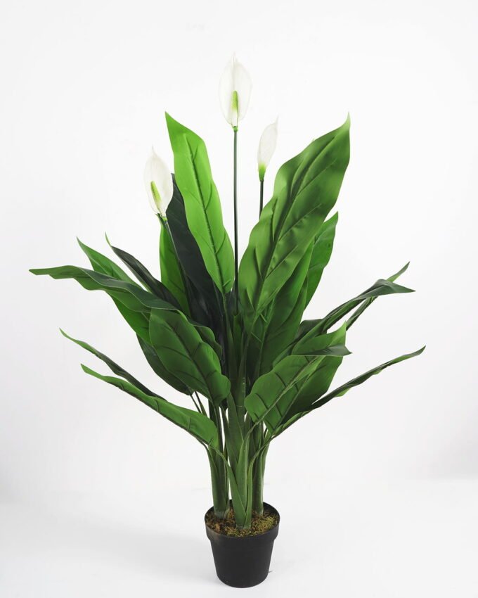 Artificial Tree 120cm Spathiphyllum*3 in pp pot 27Leaves GS-65821001 Tree&Plant YeahFlower is one of Chinese leading OEM manufacturers and exporters , supplying the silk flowers, wholesale artificial trees