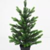 Artificial Tree 60cm Christmas tree in pe pot with 50 lamps GS-30421034L Artificial Tree 60cm Christmas tree in pe pot with 50 lamps GS-30421034L Christmas Item YeahFlower is one of Chinese leading OEM manufacturers and exporters , supplying the silk flowers, wholesale artificial trees
