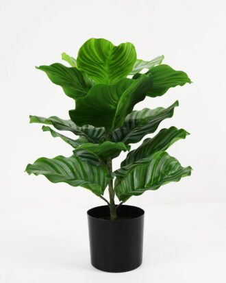 Artificial Tree 33*33*46cm Calathea ornata in pp pot GS-59521087 Tree&Plant YeahFlower is one of Chinese leading OEM manufacturers and exporters , supplying the silk flowers, wholesale artificial trees