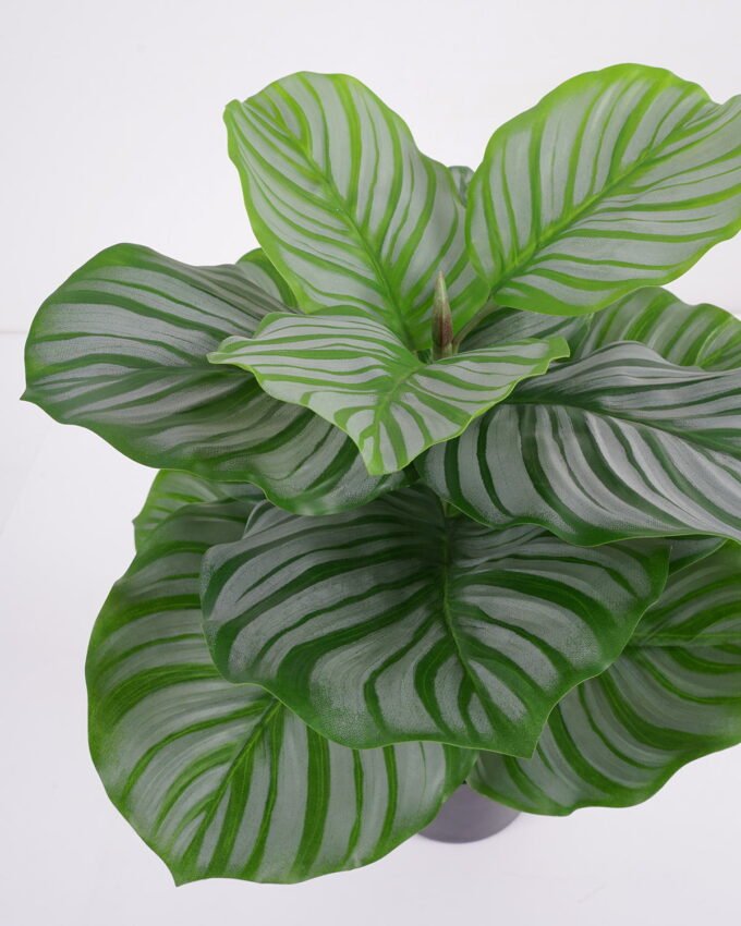 Artificial Tree 33*33*46cm Calathea ornata in pp pot GS-59521087 Tree&Plant YeahFlower is one of Chinese leading OEM manufacturers and exporters , supplying the silk flowers, wholesale artificial trees