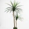 Artificial Tree 78*78*132cm Dracaena spray*2 in pp pot/84lvs GS-59521091 Tree&Plant YeahFlower is one of Chinese leading OEM manufacturers and exporters , supplying the silk flowers, wholesale artificial trees