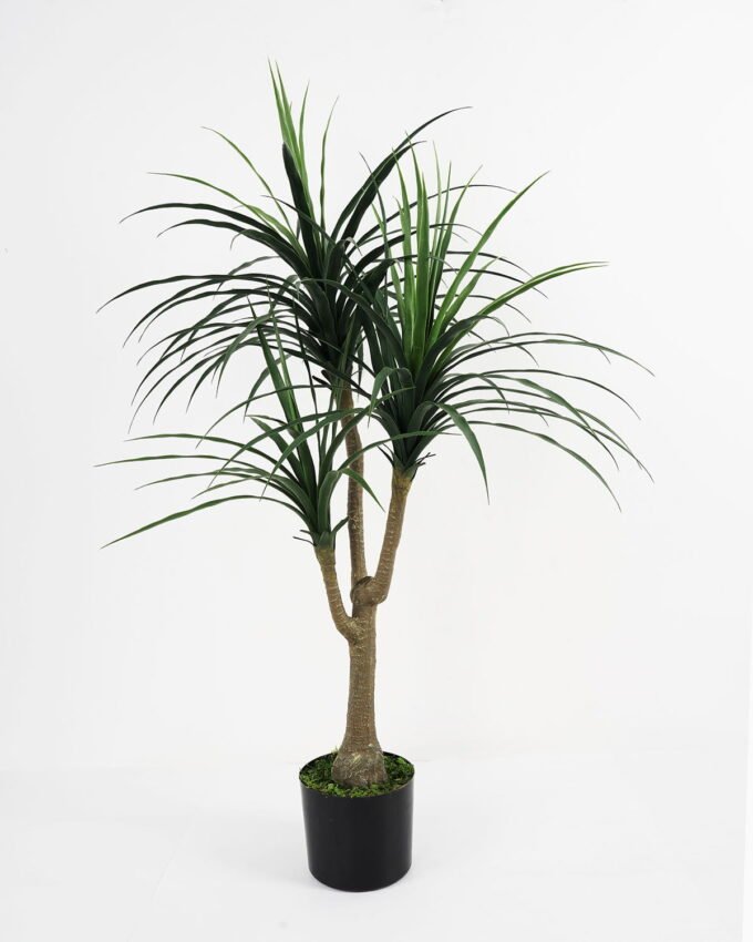 Artificial Tree 78*78*119cm Dracaena spray*3 in pp pot/108lvs GS-59521090 Tree&Plant YeahFlower is one of Chinese leading OEM manufacturers and exporters , supplying the silk flowers, wholesale artificial trees