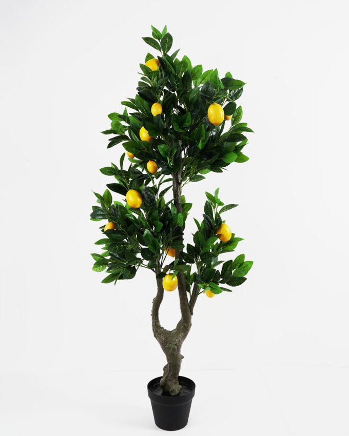 Artificial Tree 62*50*143cm Lemon tree in pe pot/646lvs&20Lemons GS-59521092 Tree&Plant YeahFlower is one of Chinese leading OEM manufacturers and exporters , supplying the silk flowers, wholesale artificial trees