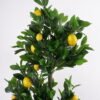 Artificial Tree 62*50*143cm Lemon tree in pe pot/646lvs&20Lemons GS-59521092 Tree&Plant YeahFlower is one of Chinese leading OEM manufacturers and exporters , supplying the silk flowers, wholesale artificial trees