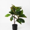 Artificial Tree H:60CM Magnolia tree in pp pot GS-64821004 Tree&Plant YeahFlower is one of Chinese leading OEM manufacturers and exporters , supplying the silk flowers, wholesale artificial trees