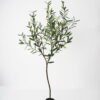Artificial Tree Olive Tree GS-59521076 Artificial Tree 78*78*145cm Olive Tree GS-59521076 Tree&Plant YeahFlower is one of Chinese leading OEM manufacturers and exporters , supplying the silk flowers, wholesale artificial trees