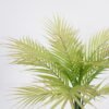Artificial Tree 60*60*67cm Palm leaves in pe pot GS-59121029 Tree&Plant YeahFlower is one of Chinese leading OEM manufacturers and exporters , supplying the silk flowers, wholesale artificial trees