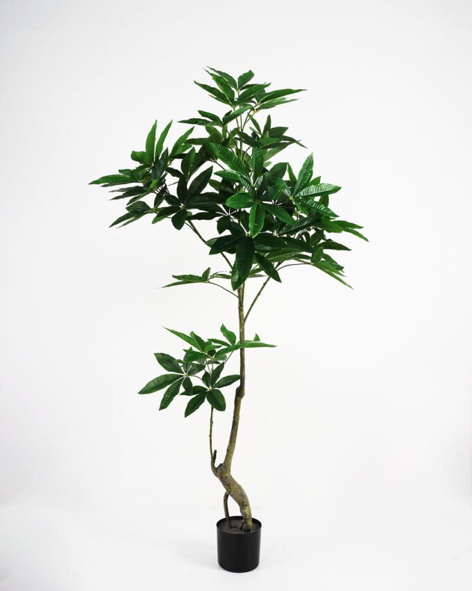Artificial Tree 69*46*150cm pachira macrocarpa in pp pot /234lvs GS-43421015 Tree&Plant YeahFlower is one of Chinese leading OEM manufacturers and exporters , supplying the silk flowers, wholesale artificial trees