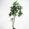 Artificial Tree 92*49*174cm pachira macrocarpa in pp pot /270lvs GS-43421016 Tree&Plant YeahFlower is one of Chinese leading OEM manufacturers and exporters , supplying the silk flowers, wholesale artificial trees