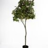 Artificial Tree 60*50*150cm tree in pe pot GS-15421045 Tree&Plant YeahFlower is one of Chinese leading OEM manufacturers and exporters , supplying the silk flowers, wholesale artificial trees