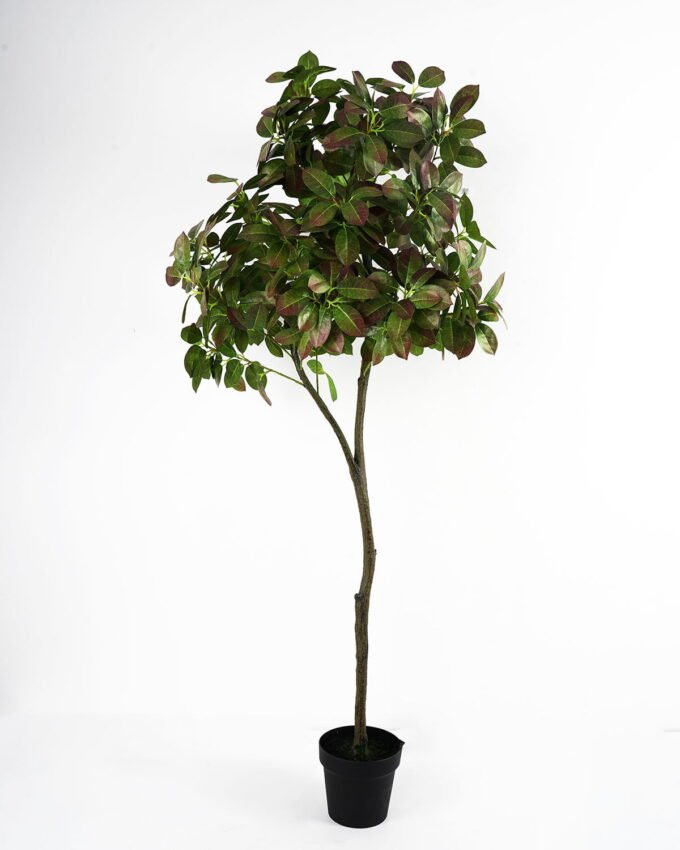 Artificial Tree 60*50*150cm tree in pe pot GS-15421045 Tree&Plant YeahFlower is one of Chinese leading OEM manufacturers and exporters , supplying the silk flowers, wholesale artificial trees