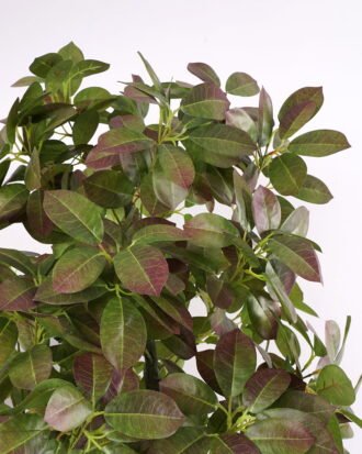 Artificial Tree 60*50*150cm tree in pe pot GS-15421045 Tree&Plant YeahFlower is one of Chinese leading OEM manufacturers and exporters , supplying the silk flowers, wholesale artificial trees