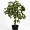 Artificial Tree 41*37*68cm tree in pe pot GS-15421046 Tree&Plant YeahFlower is one of Chinese leading OEM manufacturers and exporters , supplying the silk flowers, wholesale artificial trees