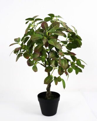 Artificial Tree 41*37*68cm tree in pe pot GS-15421046 Tree&Plant YeahFlower is one of Chinese leading OEM manufacturers and exporters , supplying the silk flowers, wholesale artificial trees