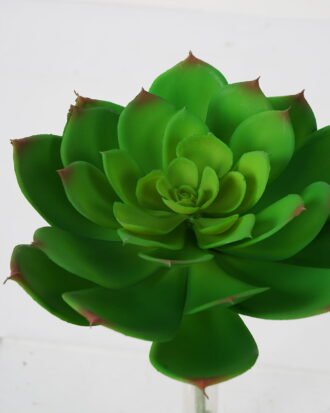 Artificial succulent 18*27cm Succulent Single stem GS-57621008 Succulent YeahFlower is one of Chinese leading OEM manufacturers and exporters , supplying the silk flowers, wholesale artificial trees