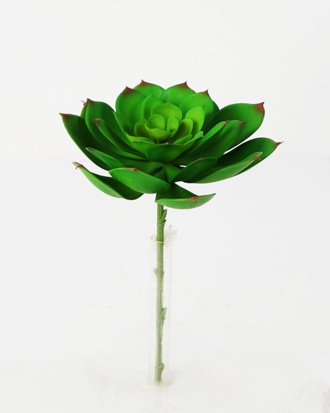 Artificial succulent 18*27cm Succulent Single stem GS-57621008 Succulent YeahFlower is one of Chinese leading OEM manufacturers and exporters , supplying the silk flowers, wholesale artificial trees