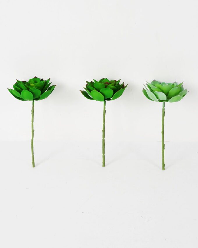Artificial succulent Succulent Single stem GS-57621009 Artificial succulent 14*27cm Succulent Single stem GS-57621009 Succulent YeahFlower is one of Chinese leading OEM manufacturers and exporters , supplying the silk flowers, wholesale artificial trees