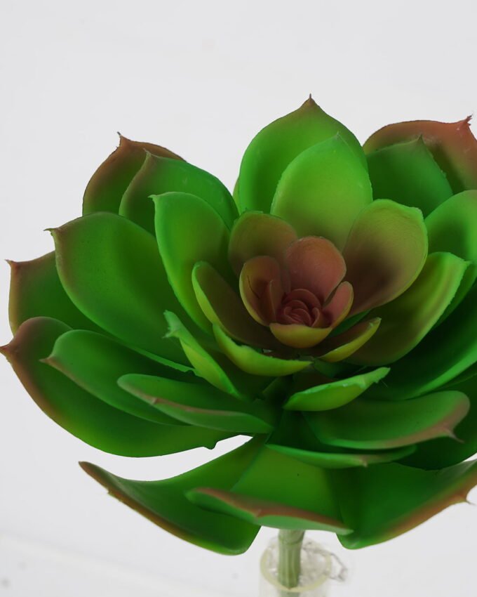 Artificial succulent Succulent Single stem GS-57621009_2 Artificial succulent 14*27cm Succulent Single stem GS-57621009 Succulent YeahFlower is one of Chinese leading OEM manufacturers and exporters , supplying the silk flowers, wholesale artificial trees