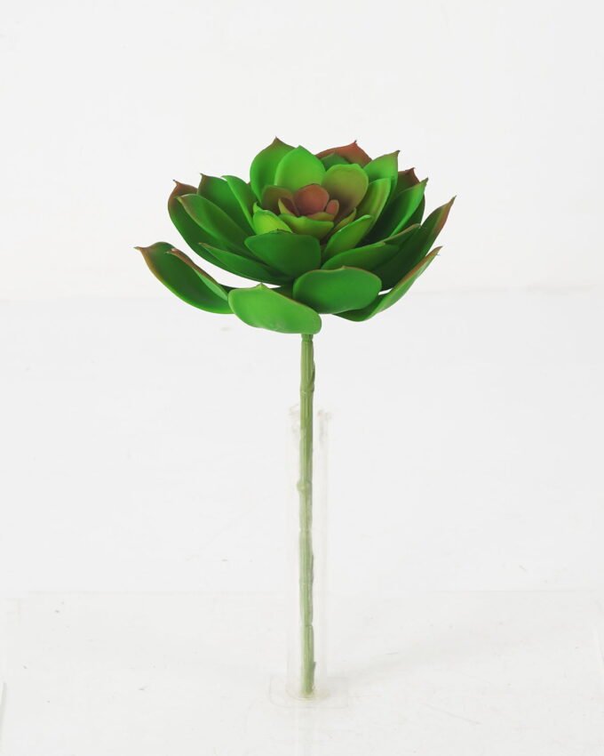 Artificial succulent Succulent Single stem GS-57621009_3 Artificial succulent 14*27cm Succulent Single stem GS-57621009 Succulent YeahFlower is one of Chinese leading OEM manufacturers and exporters , supplying the silk flowers, wholesale artificial trees