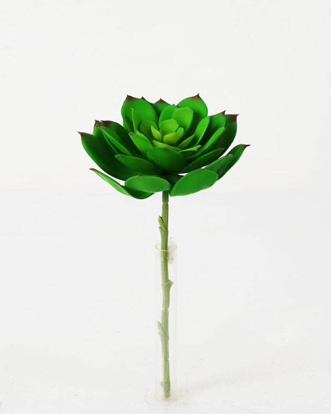 Artificial succulent Succulent Single stem GS-57621009_4 Artificial succulent 14*27cm Succulent Single stem GS-57621009 Succulent YeahFlower is one of Chinese leading OEM manufacturers and exporters , supplying the silk flowers, wholesale artificial trees