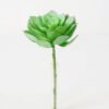 Artificial succulent Succulent Single stem GS-57621009_5 Artificial succulent 14*27cm Succulent Single stem GS-57621009 Succulent YeahFlower is one of Chinese leading OEM manufacturers and exporters , supplying the silk flowers, wholesale artificial trees