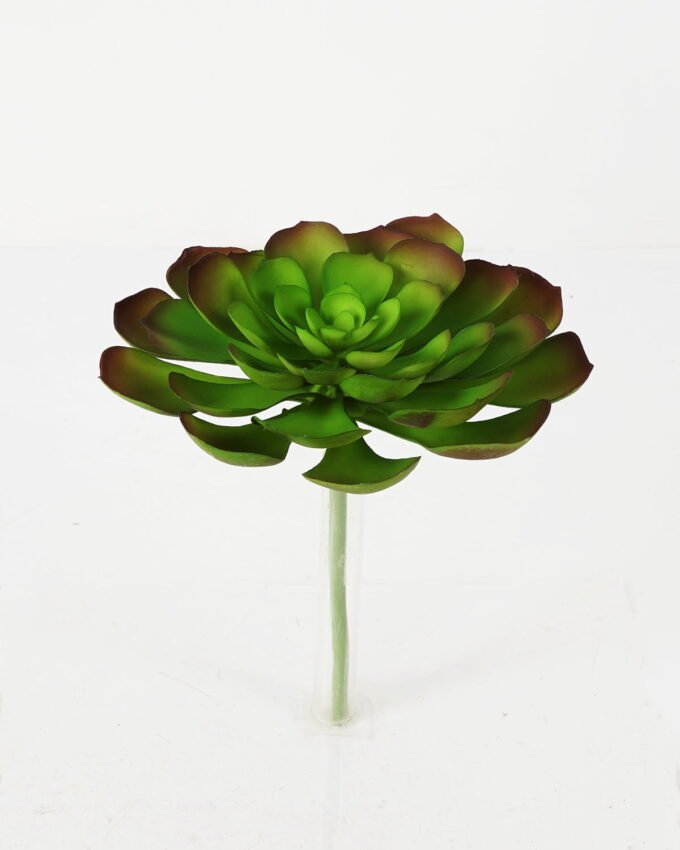 Artificial succulent Succulent Single stem GS-57621010-G4 Artificial succulent 20*23cm Succulent Single stem GS-57621010-G4 Succulent YeahFlower is one of Chinese leading OEM manufacturers and exporters , supplying the silk flowers, wholesale artificial trees