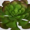 Artificial succulent Succulent Single stem GS-57621010-G4_1 Artificial succulent 20*23cm Succulent Single stem GS-57621010-G4 Succulent YeahFlower is one of Chinese leading OEM manufacturers and exporters , supplying the silk flowers, wholesale artificial trees