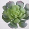 Artificial succulent Succulent Single stem GS-57621011_2 Artificial succulent 16*20cm Succulent Single stem GS-57621011 Succulent YeahFlower is one of Chinese leading OEM manufacturers and exporters , supplying the silk flowers, wholesale artificial trees