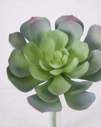 Artificial succulent 16*20cm Succulent Single stem GS-57621011 Succulent YeahFlower is one of Chinese leading OEM manufacturers and exporters , supplying the silk flowers, wholesale artificial trees