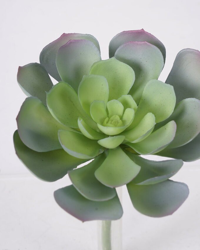 Artificial succulent Succulent Single stem GS-57621011_2 Artificial succulent 16*20cm Succulent Single stem GS-57621011 Succulent YeahFlower is one of Chinese leading OEM manufacturers and exporters , supplying the silk flowers, wholesale artificial trees