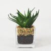 Artificial succulent 10*13cm Succulent in Glass ware GS-51721148 Succulent YeahFlower is one of Chinese leading OEM manufacturers and exporters , supplying the silk flowers, wholesale artificial trees