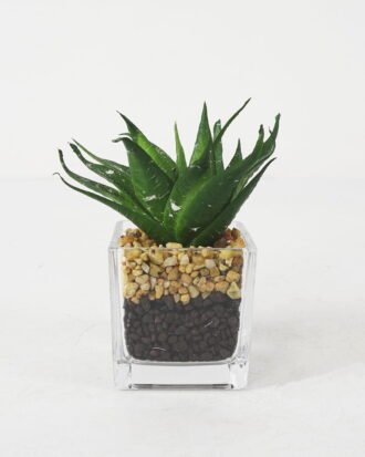 Artificial succulent 10*13cm Succulent in Glass ware GS-51721148 Succulent YeahFlower is one of Chinese leading OEM manufacturers and exporters , supplying the silk flowers, wholesale artificial trees