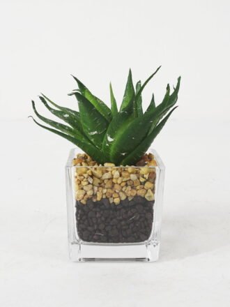 Artificial succulent 7*16cm Succulent in Glass ware GS-51721149 Succulent 3,000+ sqm showroom with thousands of artificial flowers, plants & trees ready for global sourcing.