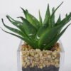 Artificial succulent 10*13cm Succulent in Glass ware GS-51721148 Succulent YeahFlower is one of Chinese leading OEM manufacturers and exporters , supplying the silk flowers, wholesale artificial trees
