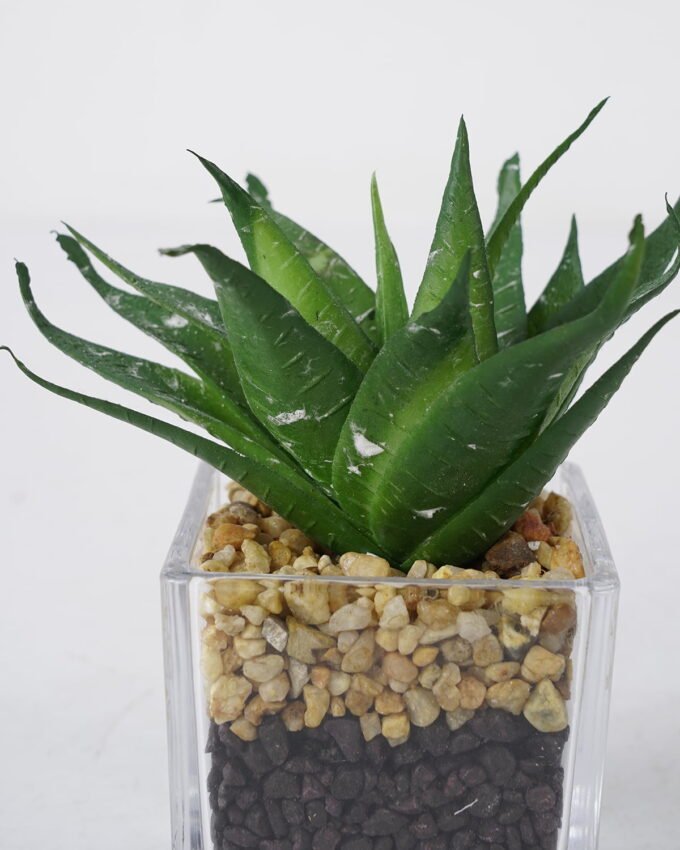 Artificial succulent 10*13cm Succulent in Glass ware GS-51721148 Succulent YeahFlower is one of Chinese leading OEM manufacturers and exporters , supplying the silk flowers, wholesale artificial trees