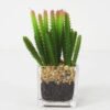 Artificial succulent 7*16cm Succulent in Glass ware GS-51721149 Succulent YeahFlower is one of Chinese leading OEM manufacturers and exporters , supplying the silk flowers, wholesale artificial trees