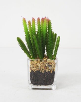 Artificial succulent 7*16cm Succulent in Glass ware GS-51721149 Succulent YeahFlower is one of Chinese leading OEM manufacturers and exporters , supplying the silk flowers, wholesale artificial trees