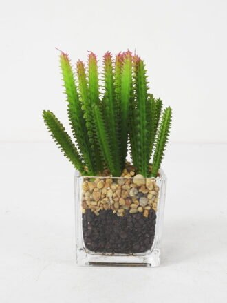 Artificial succulent 10*13cm Succulent in Glass ware GS-51721148 Succulent 3,000+ sqm showroom with thousands of artificial flowers, plants & trees ready for global sourcing.