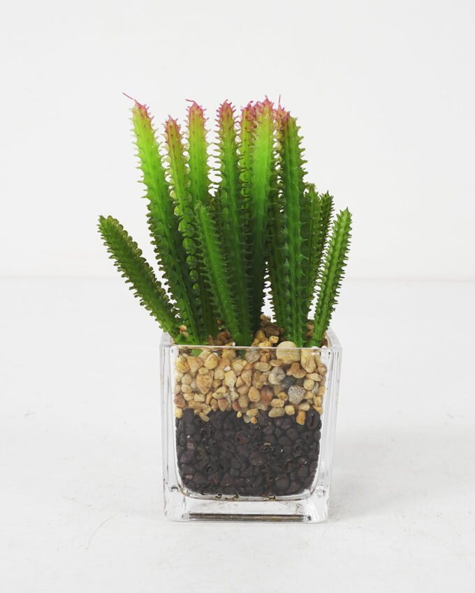 Artificial succulent 7*16cm Succulent in Glass ware GS-51721149 Succulent YeahFlower is one of Chinese leading OEM manufacturers and exporters , supplying the silk flowers, wholesale artificial trees