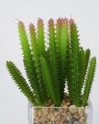 Artificial succulent 7*16cm Succulent in Glass ware GS-51721149 Succulent YeahFlower is one of Chinese leading OEM manufacturers and exporters , supplying the silk flowers, wholesale artificial trees