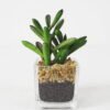 Artificial succulent 7*10*15cm Succulent in Glass ware GS-51721150 Succulent 3,000+ sqm showroom with thousands of artificial flowers, plants & trees ready for global sourcing.