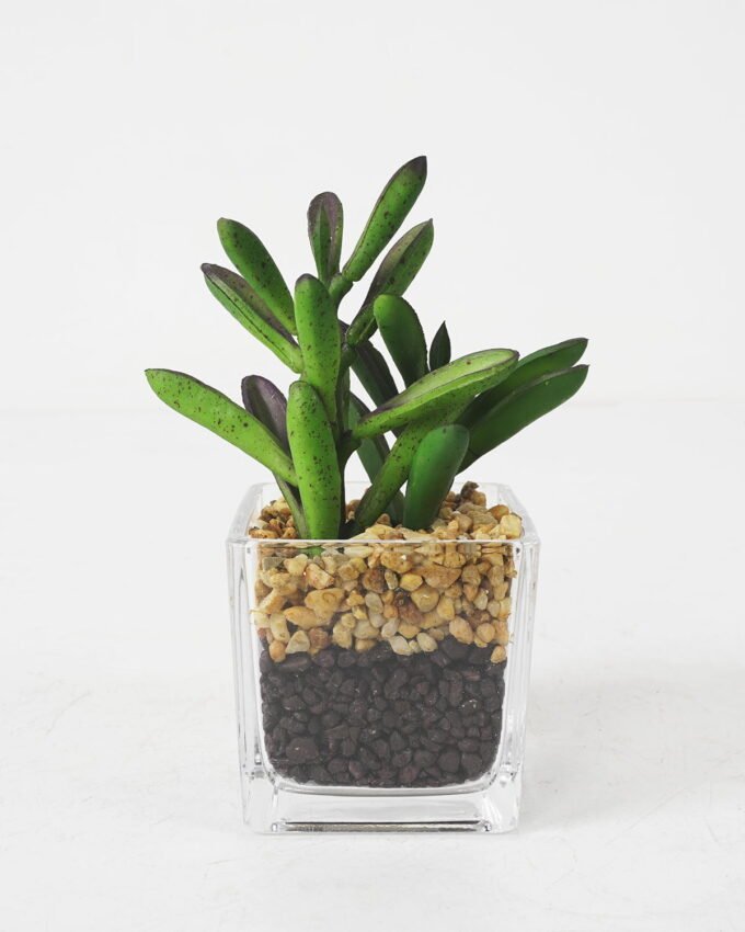 Artificial succulent 7*10*15cm Succulent in Glass ware GS-51721150 Succulent 3,000+ sqm showroom with thousands of artificial flowers, plants & trees ready for global sourcing.