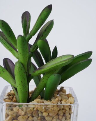Artificial succulent 7*10*15cm Succulent in Glass ware GS-51721150 Succulent YeahFlower is one of Chinese leading OEM manufacturers and exporters , supplying the silk flowers, wholesale artificial trees