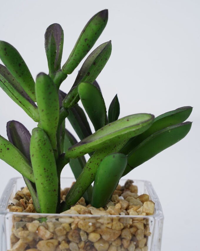 Artificial succulent 7*10*15cm Succulent in Glass ware GS-51721150 Succulent 3,000+ sqm showroom with thousands of artificial flowers, plants & trees ready for global sourcing.