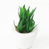 Artificial succulent 8*10cm Succulent in ceramic pot GS-51721140 Succulent YeahFlower is one of Chinese leading OEM manufacturers and exporters , supplying the silk flowers, wholesale artificial trees
